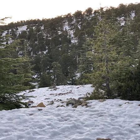 Afames House - Beautiful Traditional House オモドス