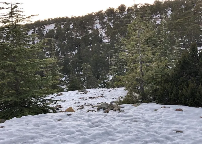 Afames House - Beautiful Traditional House Όμοδος