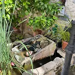 Afames House - Beautiful Traditional House *