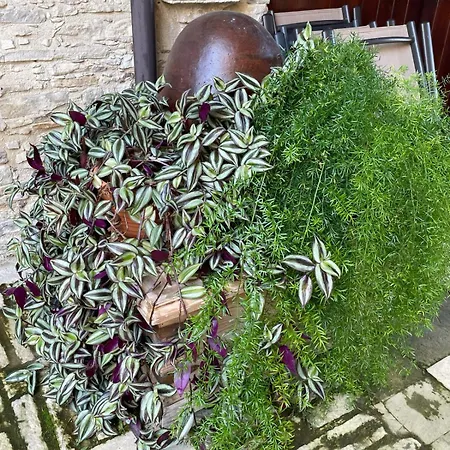 Hébergement de vacances Afames House - Beautiful Traditional House